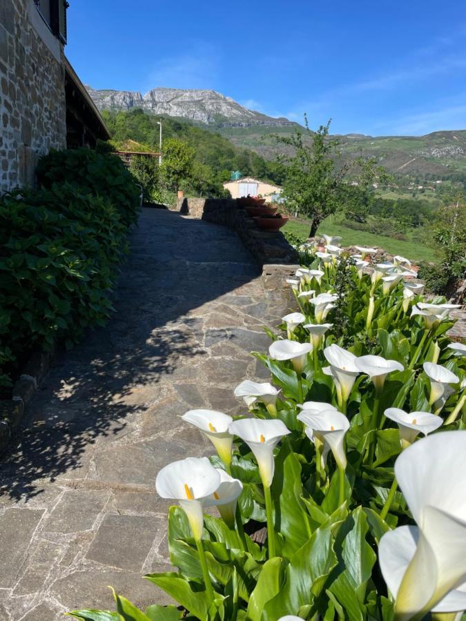Posada Casa Guadamillas Bustancilles Exteriér fotografie